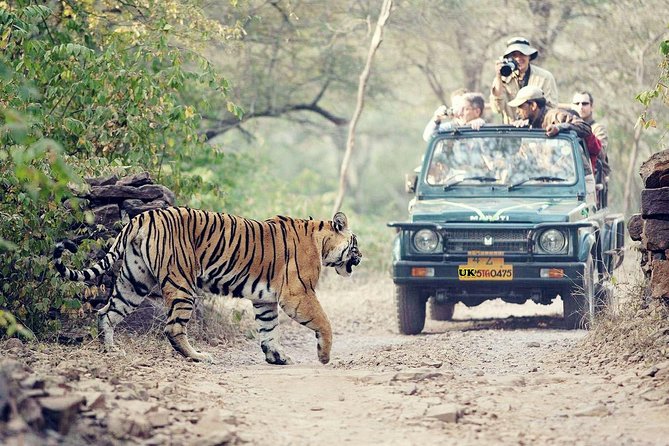 rajaji national park